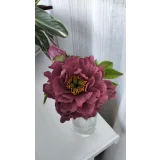 [galka_nova] Курс "Сахарная флористика" (Галина Иванова)