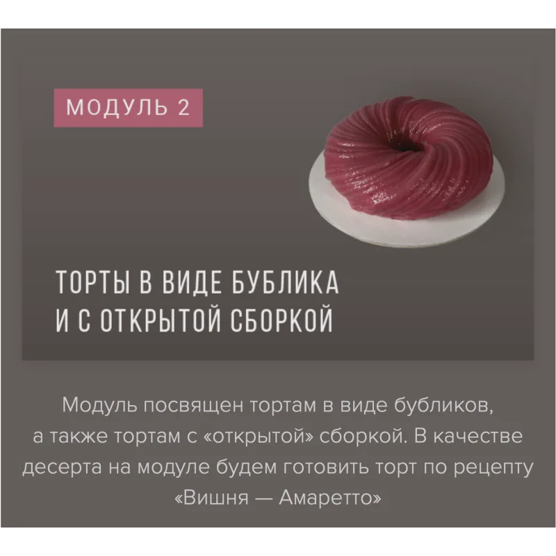 Курс «Муссовые пирожные и торты фантазийных форм» (Ираида Корягина)