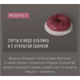 Курс «Муссовые пирожные и торты фантазийных форм» (Ираида Корягина)