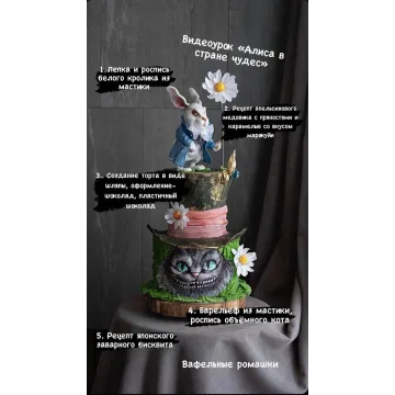 Торт "Алиса в стране чудес" (Анна Сухова, anechkacake)
