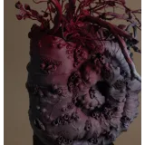 Вебинар "Торт улитка" (Lyubov Ki, cakeit_nsk)