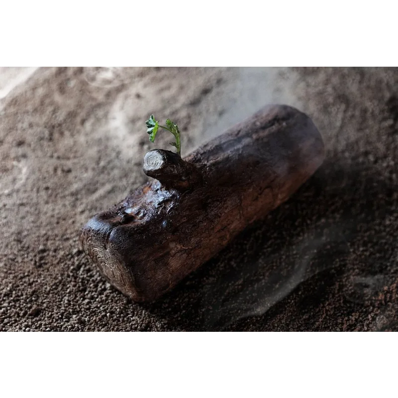 Курс "Новогодние десерты 2021" (Юлия Беличенко, belichenko_julia)