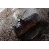 Курс "Новогодние десерты 2021" (Юлия Беличенко, belichenko_julia)