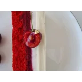 [khmeleva_cake] Обучающий курс "Порционные пирожные 1" (Наталья Хмелёва)