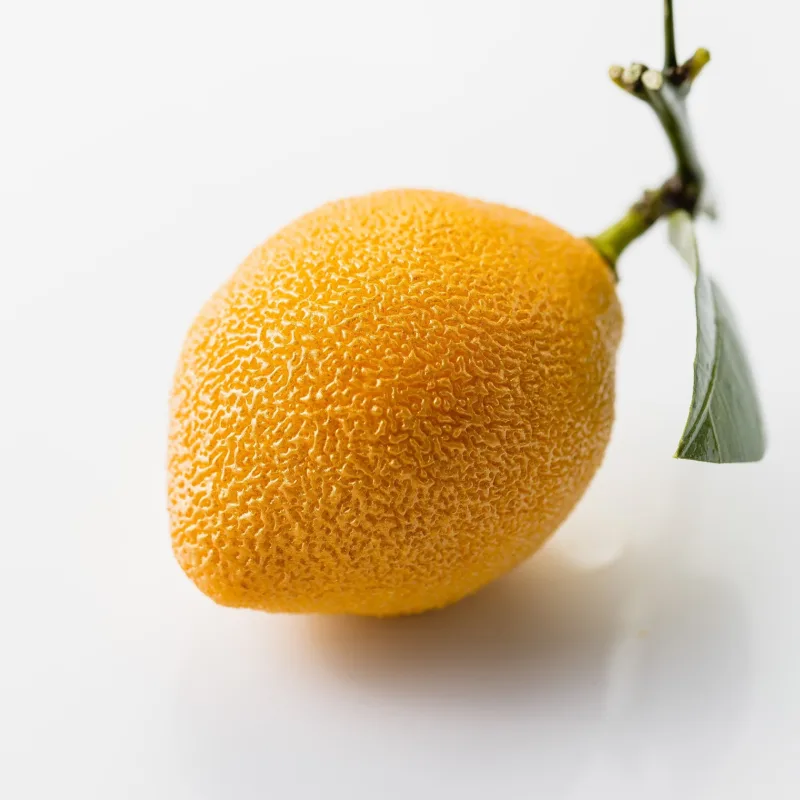 [Cédric Grolet] Курс "Корпусные фрукты, орехи, цветы" (Седрик Гроле)