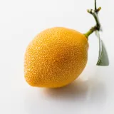 [Cédric Grolet] Курс "Корпусные фрукты, орехи, цветы" (Седрик Гроле)