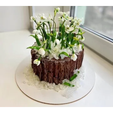 [Dolnyk Art Cake] Торт «Пенек с подснежниками» (Кристина Дольник)