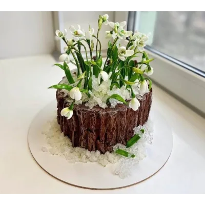 [Dolnyk Art Cake] Торт «Пенек с подснежниками» (Кристина Дольник)