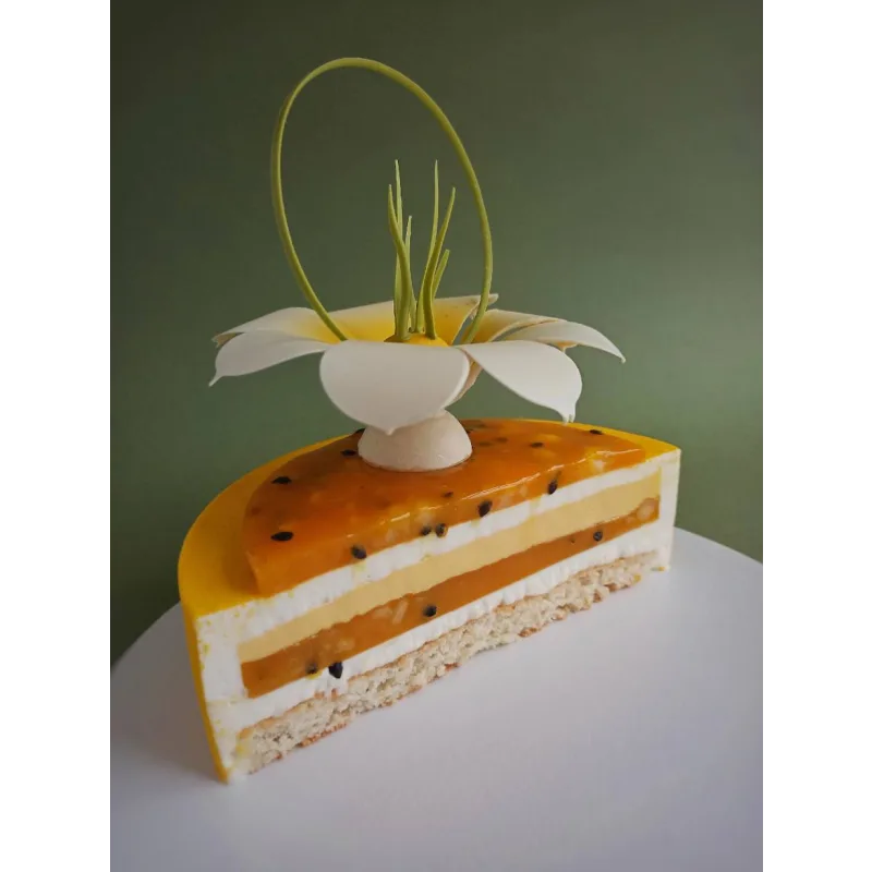 Курс "Муссовые торты" (Coup De Coeur)