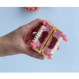 [Cake Pro] Великолепные тарты 2.0. Тариф - Супер (Александра Овешкова)