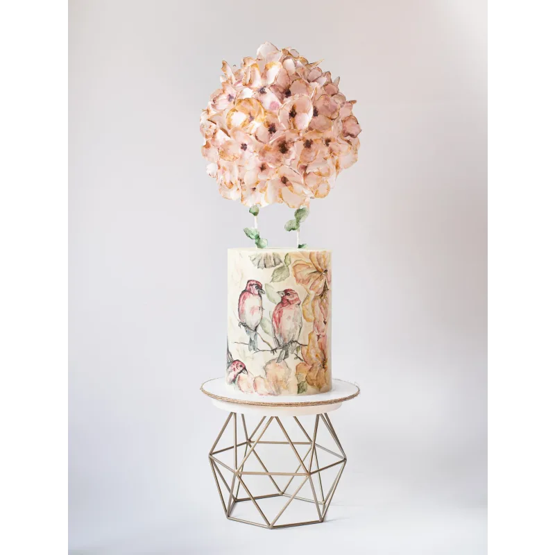 Рисовать может каждый. Тариф художник (Женя Мельникова, Лена Елькина-Ковалёва)