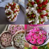 [elenapo11] Весна с Еленой Поповой 2024. Тариф Продвинутый (Елена Попова)