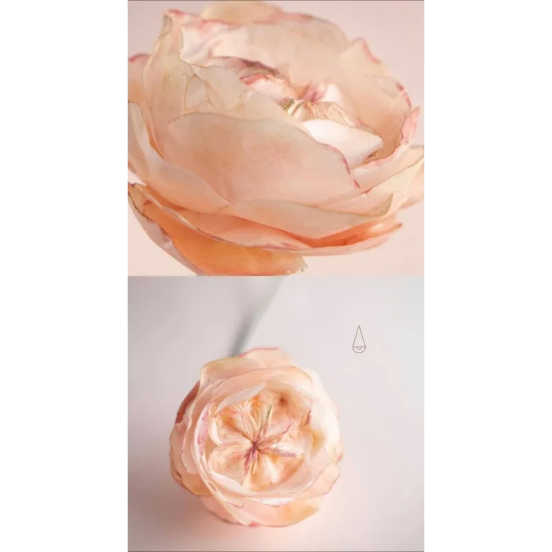 Онлайн курс Вафельная флористика (Elena Elkina-Kovaleva, Glavgnom)