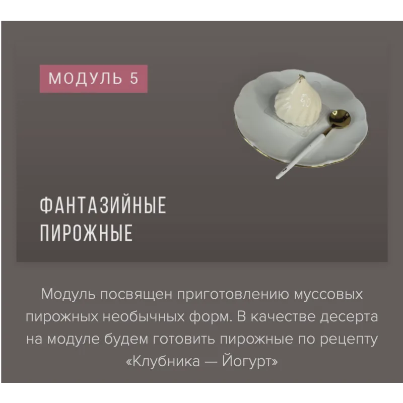 Курс «Муссовые пирожные и торты фантазийных форм» (Ираида Корягина)