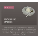 Курс «Муссовые пирожные и торты фантазийных форм» (Ираида Корягина)