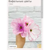 Вкусный журнал. Март 2022 (Наринэ Шахраманян)