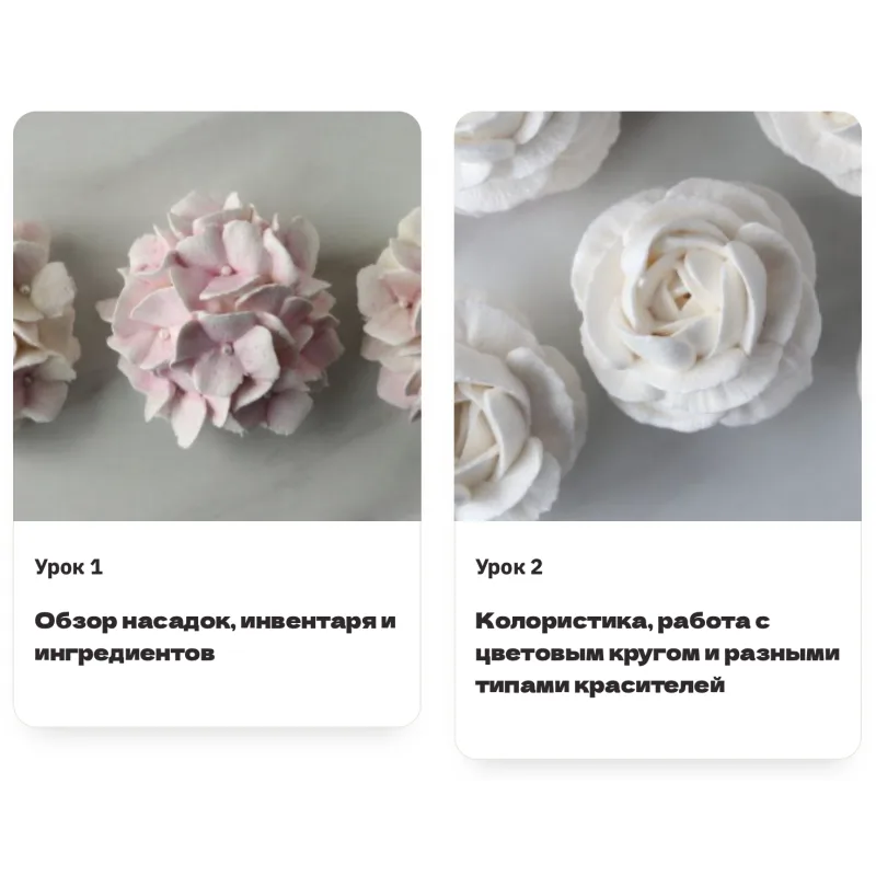 [Pauline School] Курс "Зефирные цветы" (Полина Филимонова)