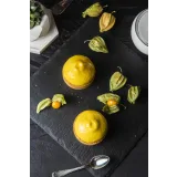 [Cake Pro] “Великолепные тарты 5.0” (Александра Овешкова)