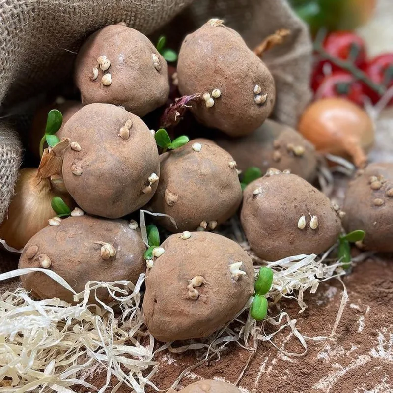 Кондитерский марафон 1.0 (Динара Касько)