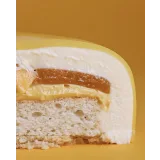 [ks_candymom] Муссовые торты. Текстуры (Ксения Хохлова)