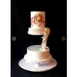 Мой первый свадебный сезон (Татьяна Шкода)