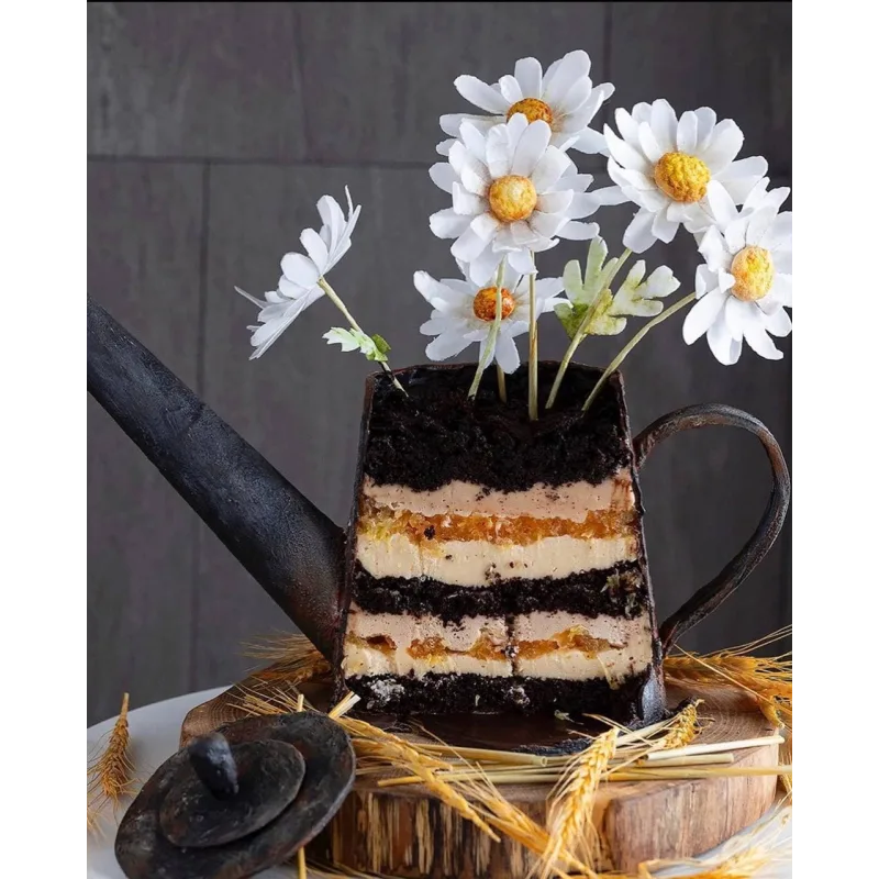 Торт "Лейка с ромашками" (Анна Сухова, anechkacake)