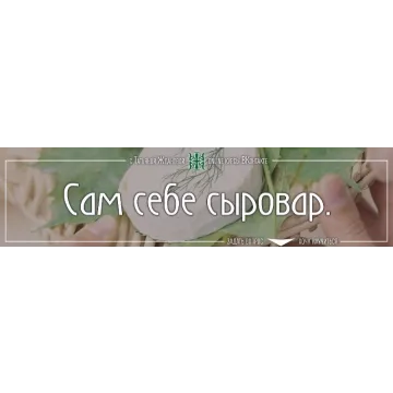 Сам себе сыровар (Татьяна Жданова)