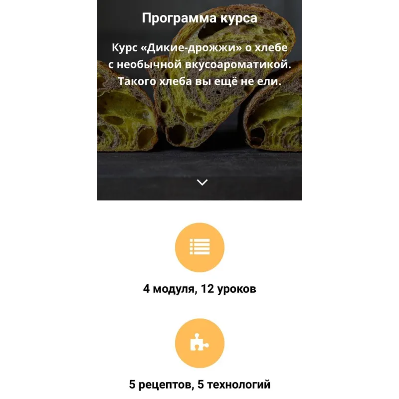 Дикие дрожжи (Ахмед Али-заде, Ольга Ткаченко)