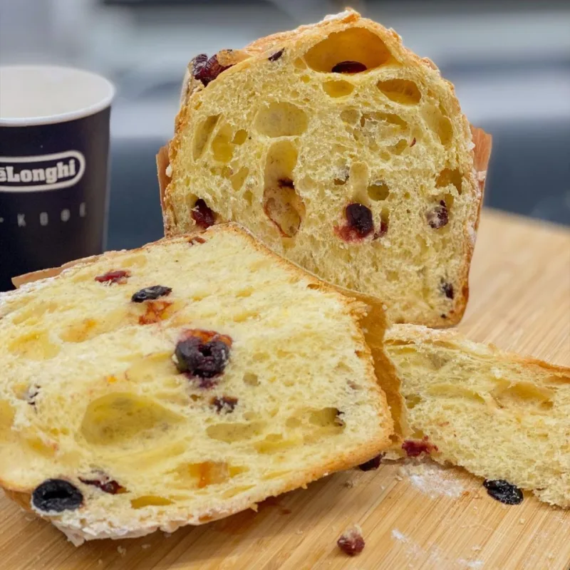 Панеттоне на закваске с вишней и клюквой (Людмила Букина)