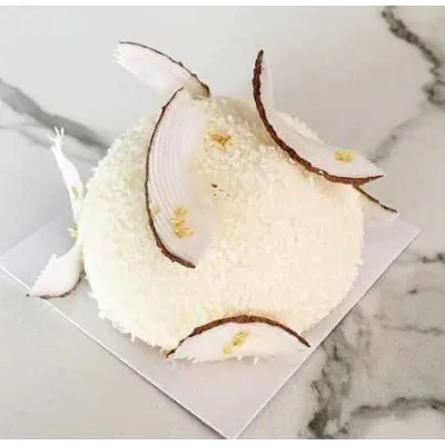 Рецепт пирожных Кокос-Экзотическая карамель (Вера Никандрова)