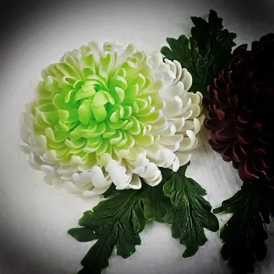 Хризантема из пластичного шоколада (Елена Чуприна)