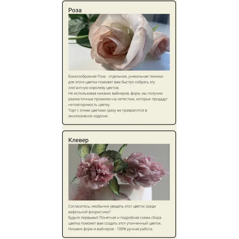 Курс весенний (Татьяна Ефремова)