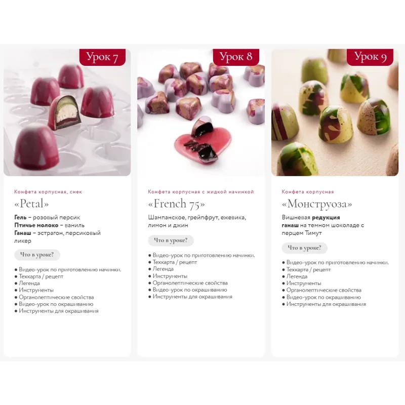 [Foxclab] Шоколадные конфеты с глянцевым декором. Пакет Стандартный (Ольга Пениоза, Олег Хотько)