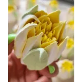 Махровые зефирные тюльпаны (Ляйсян Казыргалина)