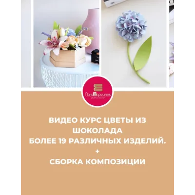 Видео-курс "Цветы из шоколада". Тариф "Только шоколад" (Ксения Панько)