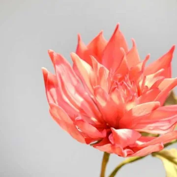 [Где торт?] Сахарный Цветок Георгин (Евгения Бочарова)