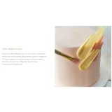 Курс "Творческий кондитер 2.0" (tapioka cake)