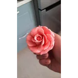 Зефир в молдах с пониженным содержанием сахара (Кира Ковальская)