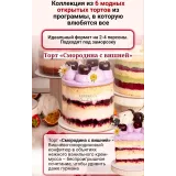Курс Открытые вау-торты за 1 час (Надежда Коломейцева)