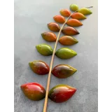 Курс о корпусных шоколадных конфетах (chocolat_jasmin)