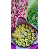 Видеоурок "Зефирные тюльпаны" (Ляйсян Казыргалина)