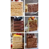 Курс по многослойным тортам (Юлия Залесских)