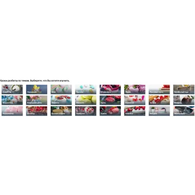 278+ уроков сразу (Где торт?)