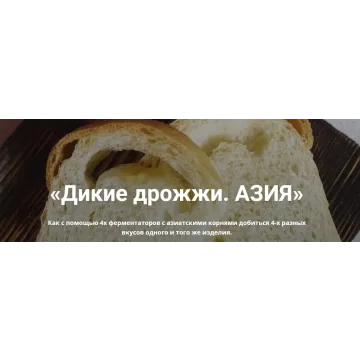 Дикие дрожжи. Азия (Ольга Ткаченко)