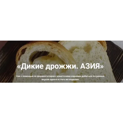 Дикие дрожжи. Азия (Ольга Ткаченко)