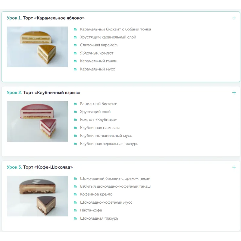 Курс по созданию муссовых тортов (Александра Овешкова)