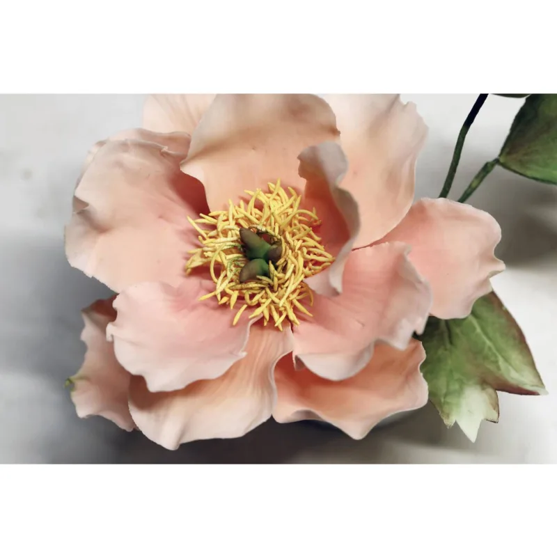 Сахарная флористика (Инна Питерова)