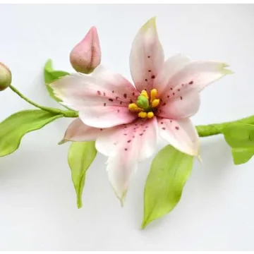 [Где торт?] Цветок Номохарис из сахарной мастики (Евгения Бочарова)