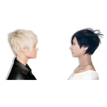 Женские короткие стрижки - часть первая (Максим Никиточкин)