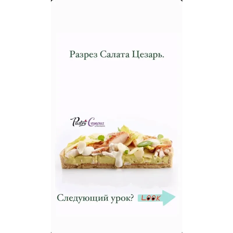 Пикник в большом городе (Мария Селянина, PastryCampus)